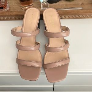 Ann Taylor brand new without tags